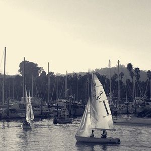 Meet your Posher, Petra